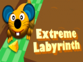 Hry Extreme Labyrinth