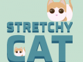 Hry Stretchy Cat