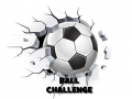 Hry Ball Challenge