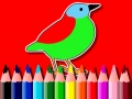Hry Back To School: Birds Coloring Book