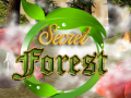 Hry Secret Forest