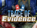 Hry Trace of Evidence