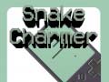 Hry Snake Charmer