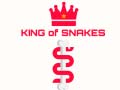 Hry King Of Snakes