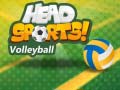 Hry Head Sports Volleyball