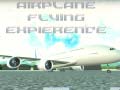 Hry Airplane Flying Expierence
