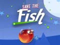 Hry Save The Fish