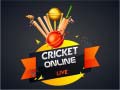 Hry Cricket Online