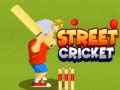Hry Street Cricket