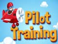 Hry Pilot Training