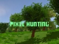 Hry Pixel Hunting