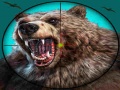 Hry Wild Bear Hunting