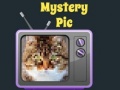 Hry Mystery Pic