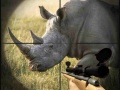 Hry Wild Rhino Hunter