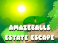 Hry Amazeballs Estate Escape
