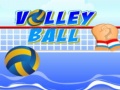 Hry Volley ball