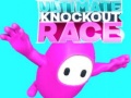 Hry Ultimate Knockout Race