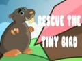 Hry Rescue The Tiny Bird