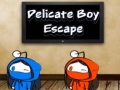 Hry Delicate Boy Escape