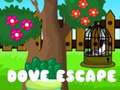 Hry Dove Escape