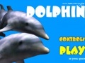Hry Dolphin