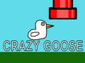 Hry Crazy Goose