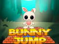 Hry Bunny Jump