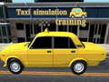 Hry Taxi simulation training