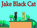 Hry Jake Black Cat