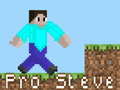 Hry Pro Steve