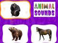 Hry Animal Sounds