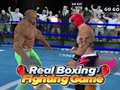 Hry Real Boxing Fighting Game