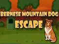 Hry Bernese Mountain Dog Escape
