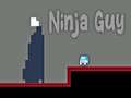 Hry Ninja Guy