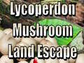 Hry Lycoperdon Mushroom Land Escape
