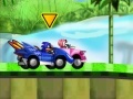 Hry Sonic Racing Zone
