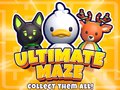 Hry Ultimate Maze! Collect Them All!