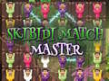 Hry Skibidi Match Master