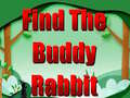 Hry Find The Buddy Rabbit