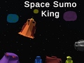 Hry Space Sumo King