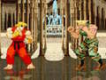 Hry Street Fighter 2 Flash