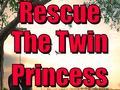Hry Rescue The Twin Princess