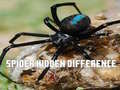 Hry Spider Hidden Difference