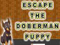 Hry Escape The Doberman Puppy
