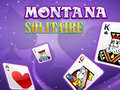 Hry Montana Solitaire