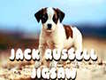 Hry Jack Russell Jigsaw