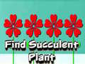 Hry Find Succulent Plant