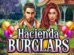 Hry Hacienda Burglars