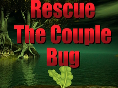 Hry Rescue The Couple Bug