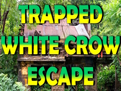 Hry Trapped White Crow Escape